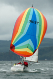 hot toddy 3199y whyw17 fri gjmc 8870